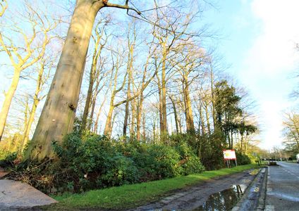 Bouwgrond te koop in Wijnegem