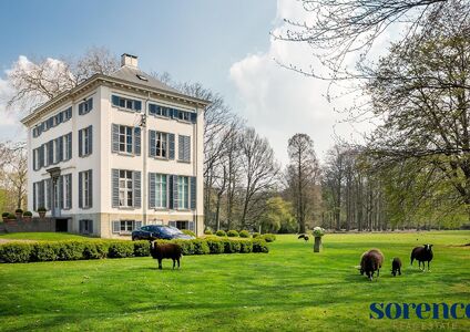 Kasteel te koop in Kontich